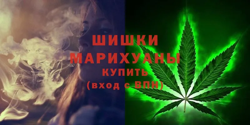 Канабис OG Kush  Луза 